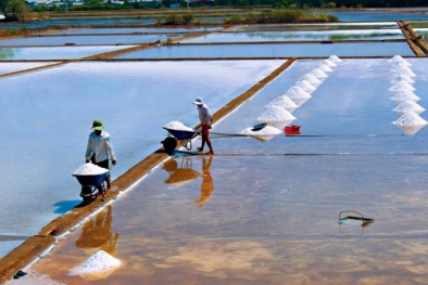 Nâng cao năng suất, chất lượng và đa dạng hóa các sản phẩm muối