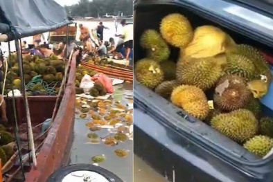 Ăn sầu riêng ngâm nước biển, hơn 500 người bị ngộ độc