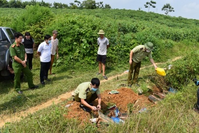 Kinh doanh thực phẩm đông lạnh đã quá hạn sử dụng và những nguy cơ cho sức khỏe
