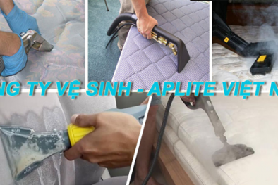 Vệ sinh Aplite Việt Nam - Đơn vị giặt aplite sofa nệm tại TPHCM uy tín, chất lượng