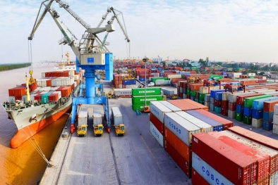 EVFTA tạo ra 'dòng chảy' gia tăng hàng hóa của Việt Nam vào thị trường EU