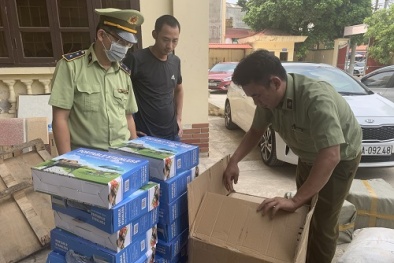 Thu giữ nhiều giấy vệ sinh, bếp nướng dùng than không rõ nguồn gốc, xuất xứ