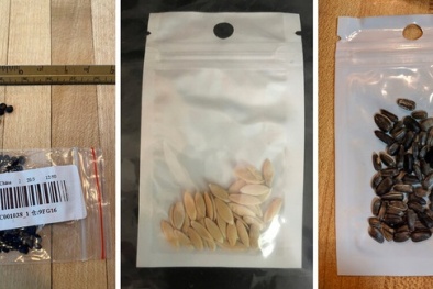 Amazon tuyên bố 'cấm cửa' các hành vi rao bán 'hạt giống lạ'