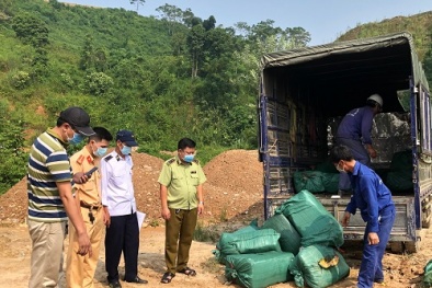 Phát hiện lượng lớn nầm lợn và trứng gà non không rõ nguồn gốc xuất xứ