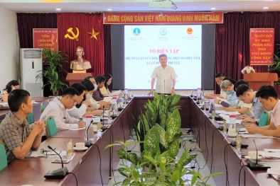 Khi nào công bố dự thảo Luật sửa đổi, bổ sung một số điều của Luật Sở hữu trí tuệ? 