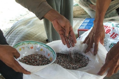 Phát hiện, thu giữ nhiều sản phẩm phân bón kém chất lượng tại Tây Ninh 