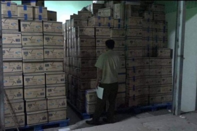 Phát hiện 4.500 hộp găng tay y tế kém chất lượng, giả nhãn hiệu VGlove Khải Hoàn