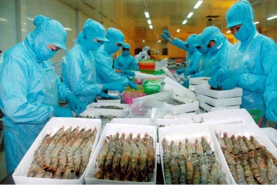 Tập trung nâng cao chất lượng ngành tôm Việt Nam