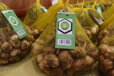 Sản phẩm tỏi An Thịnh (Bắc Ninh) chính thức được bảo hộ chỉ dẫn địa lý
