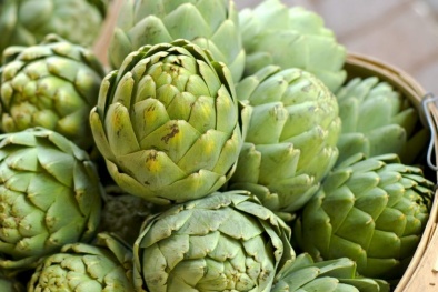 Tiêu chuẩn về bông atiso - Hỗ trợ ngành công nghiệp phát triển