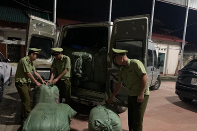 Tinh vi vận chuyển mỹ phẩm không rõ nguồn gốc lẫn trong hàng hóa có hóa đơn