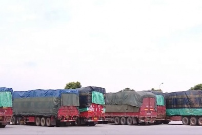 Gần 100 xe ô tô chở hàng hóa 'vô chủ' ở cửa khẩu, giải quyết thế nào? 