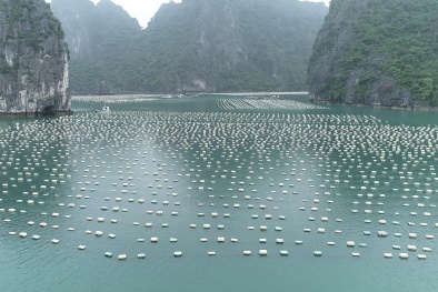 Ban hành quy chuẩn về vật liệu sử dụng làm phao nổi trong nuôi trồng thủy sản 