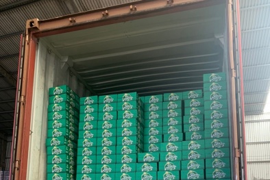 Nhái BIA SAIGON VIETNAM, một cơ sở sản xuất bia bị khởi tố