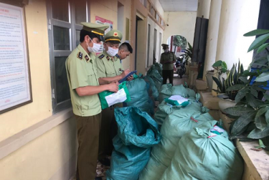 Nhập lậu lượng lớn hàng hóa tiêu dùng về bán kiếm lời