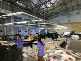 Áp dụng thành công hệ thống LEAN vào cải tiến chất lượng sản phẩm