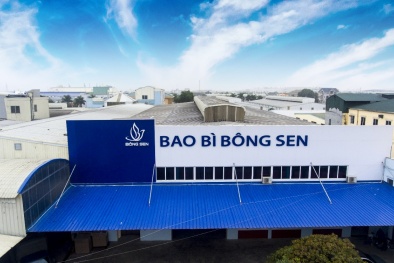 Hiệu quả áp dụng ISO 9001:2015, ISO 14001:2015 và 7 công cụ thống kê NSCL tại Bao bì Bông Sen 