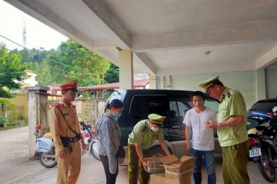 Nhập lậu củ cải, quần áo may sẵn có dấu hiệu giả mạo nhãn hiệu