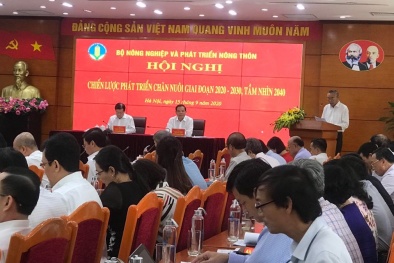 Phát triển chăn nuôi toàn diện, hiệu quả, hướng tới xuất khẩu 