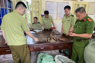 Tràn lan thuốc bắc nhập lậu từ Trung Quốc người dùng cần cảnh giác