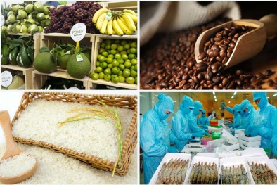 Xuất khẩu nông sản Việt sang EU tăng trưởng mạnh 