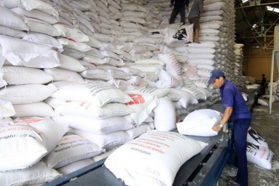 Chuyện gạo Việt chinh phục người tiêu dùng châu Âu