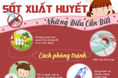 Bộ Y tế khuyến cáo cách phòng sốt xuất huyết hiệu quả