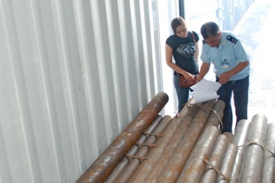 Cải cách mô hình kiểm tra chất lượng đối với hàng hóa nhập khẩu