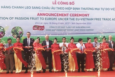 Lô hàng 100 tấn chanh leo đầu tiên lên đường sang châu Âu