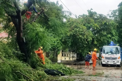 Bão số 5 gây nhiều thiệt hại tại miền Trung