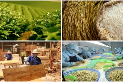 Nông nghiệp đẩy mạnh phát triển sản xuất hàng hóa theo thế mạnh từng vùng