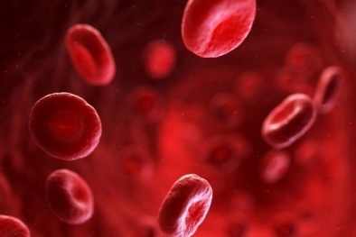 Một biến thể nhóm máu hiếm giúp ngăn ngừa bệnh sốt rét