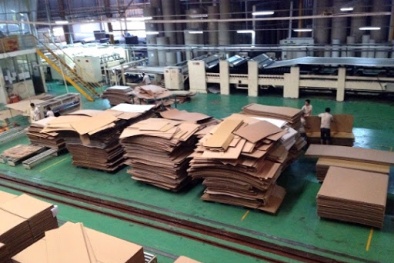 Tiềm năng triển khai TPM tại Công ty TNHH Bao bì Hương Sen