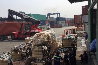 Không đạt chất lượng, hơn 1.000 container phế liệu nhập khẩu buộc phải tái xuất