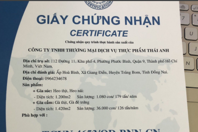 Lật tẩy doanh nghiệp giả giấy chứng nhận VietGap 