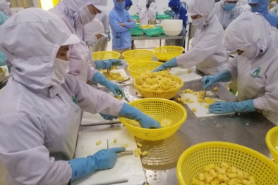  Xây dựng nhân lực, tạo nền tảng phát triển với mô hình Nhóm huấn luyện –TWI