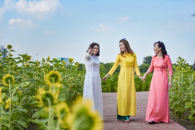 Đồi hoa mặt trời Ecopark khoe sắc đón thu sang