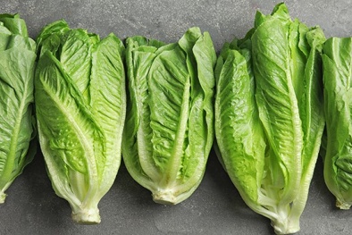 Nghiên cứu cho thấy, một số rau xanh dễ có khuẩn E. coli