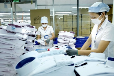 Thực thi các FTA thế hệ mới giúp Việt Nam tiếp cận tiêu chuẩn quốc tế, nâng cao năng lực quản lý