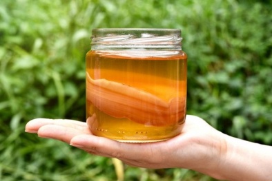 Những rủi ro khi sử dụng trà giấm lên men-trà kombucha 