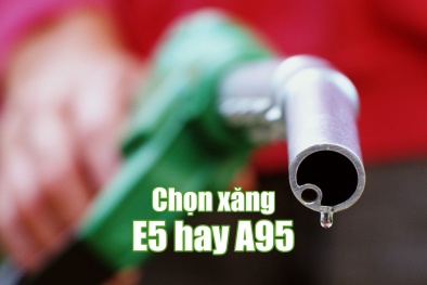 Xăng sinh học E5: Người tiêu dùng hiểu sao cho đúng?
