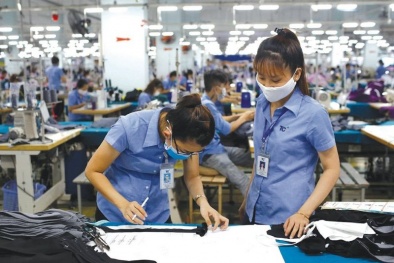 Sân chơi EVFTA là động lực mới và quý để doanh nghiệp vươn lên