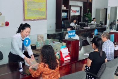 Ngân hàng Hợp tác xã Việt Nam: Trợ lực khách hàng và thành viên vượt khó