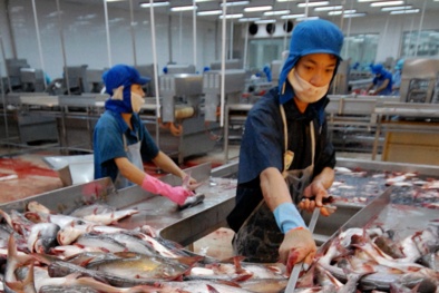 9 tháng, xuất khẩu của khối doanh nghiệp trong nước cao gấp 4 lần tốc độ tăng trưởng chung