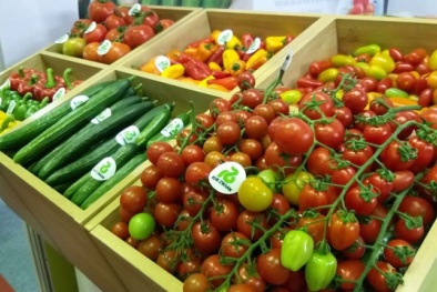 Đảm bảo truy xuất nguồn gốc hàng hóa Việt Nam tại thị trường châu Mỹ