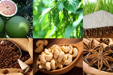 Từng bước khẳng định chất lượng nông sản Việt trên thị trường EU