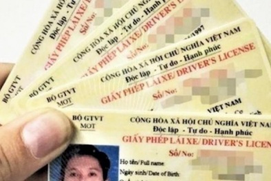 Nhiều website giả mạo thông tin giấy phép lái xe