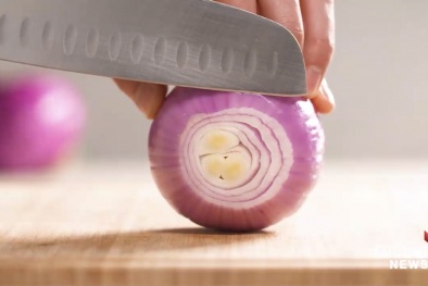 Canada đệ đơn kiện sau đợt bùng dịch nhiễm khuẩn Salmonella do hành tây của Mỹ