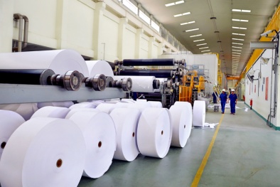Đẩy mạnh ứng dụng công nghệ 4.0 vào sản xuất giấy, nâng cao năng suất