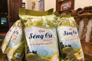 Hội chợ nông nghiệp, sản phẩm OCOP tại Lào Cai năm 2020: Quảng bá tiềm năng các tỉnh thành khu vực phía Bắc